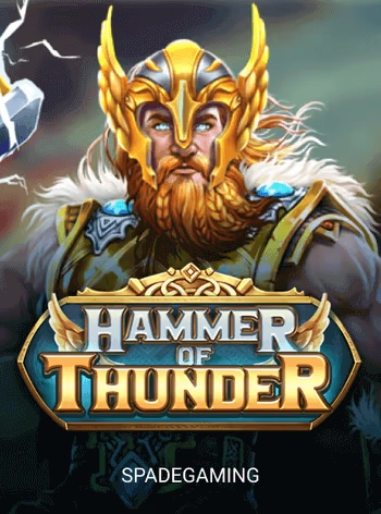 hnvip